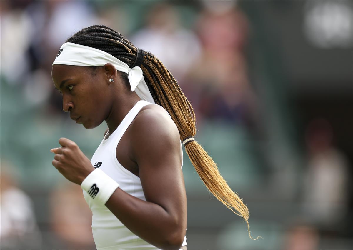 供了多样化 供了多样化