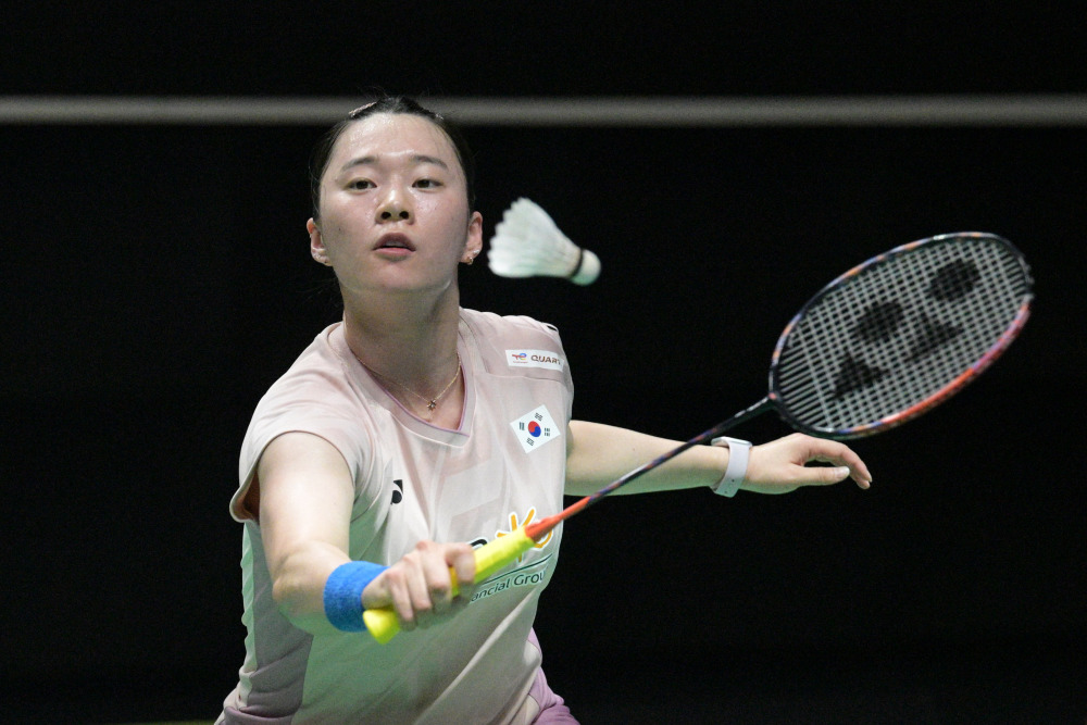 年轻球员参 年轻球员参